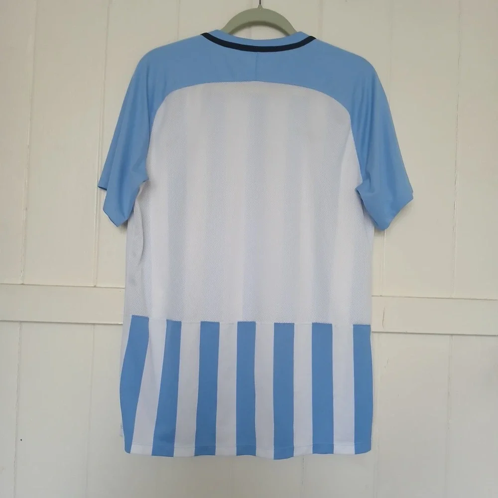 Nike Jersey Soccer Futbol Men's Large V-Neck Argentina Blue‎ White Stripe 894096